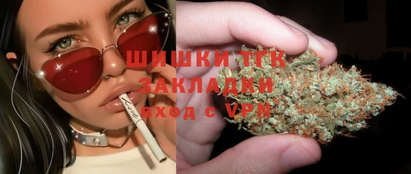 apvp Алзамай